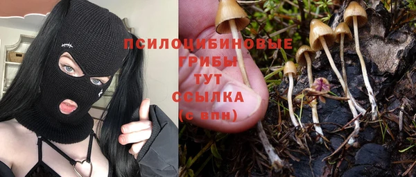 гашиш Михайлов
