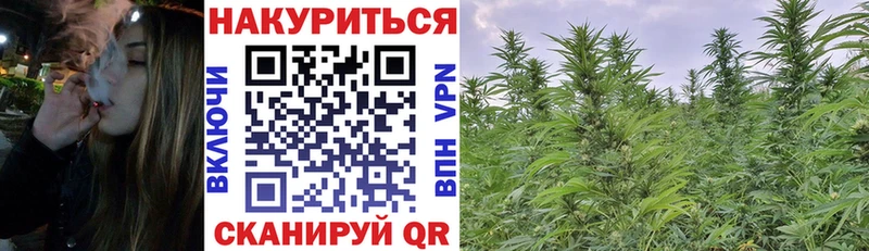 Марихуана Amnesia Приморско-Ахтарск